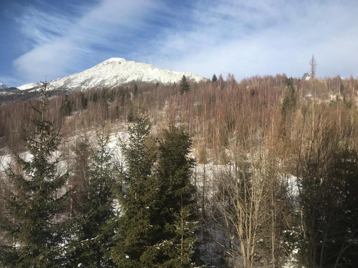Apartmany Vila Vlasta Vysoké Tatry Buitenkant foto
