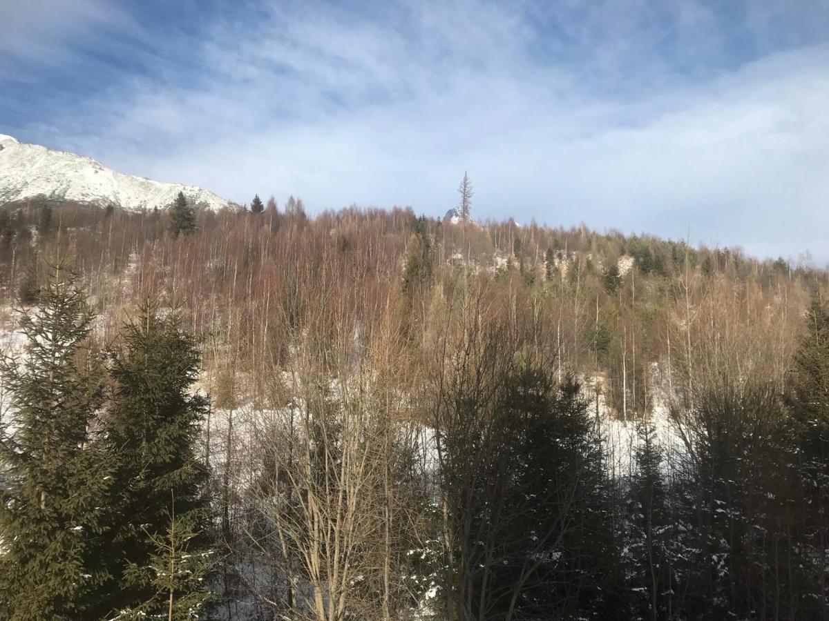 Apartmany Vila Vlasta Vysoké Tatry Buitenkant foto