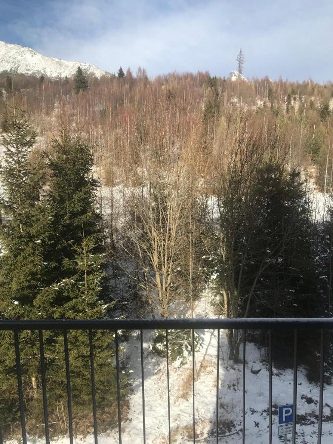 Apartmany Vila Vlasta Vysoké Tatry Buitenkant foto