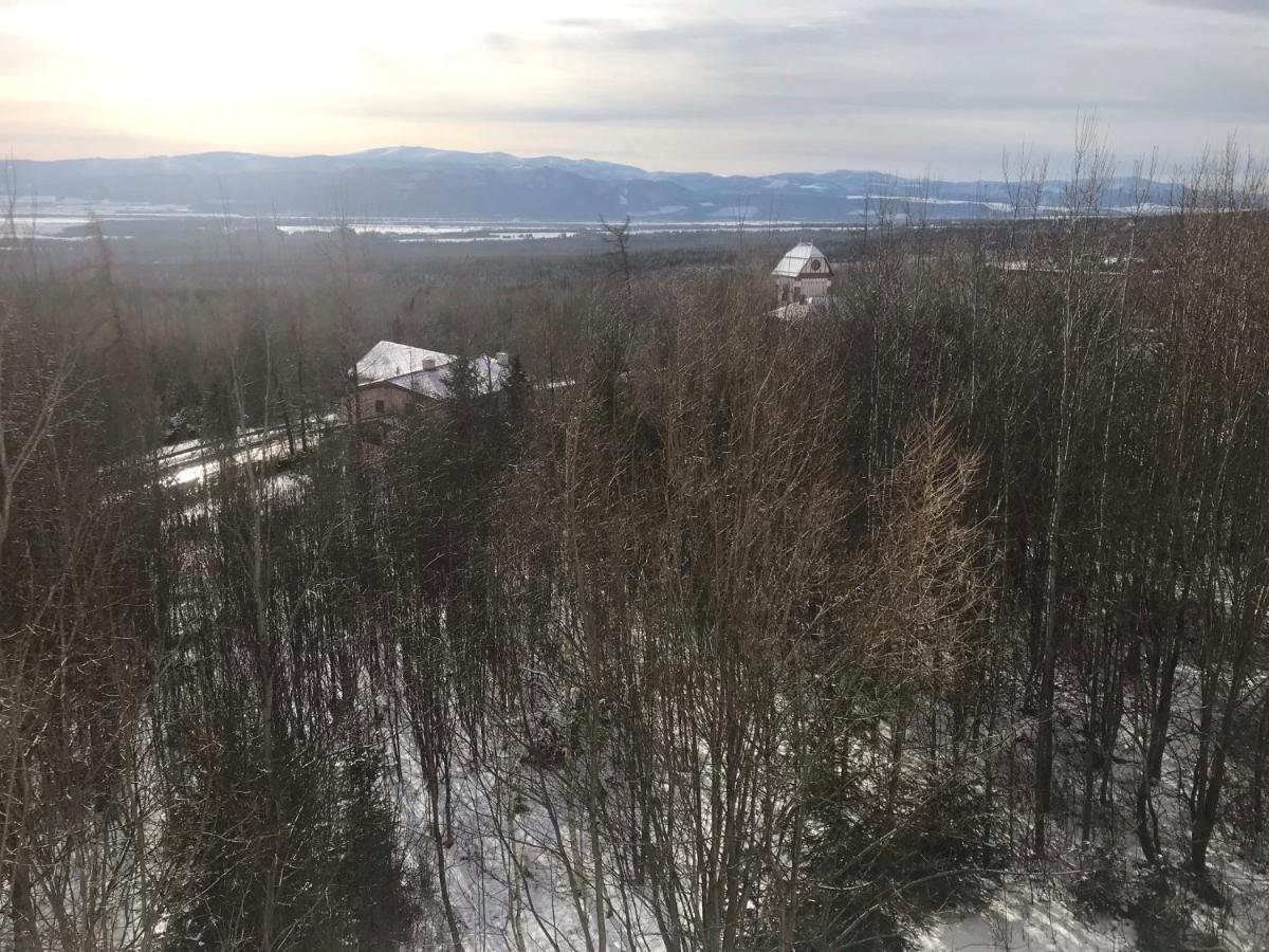 Apartmany Vila Vlasta Vysoké Tatry Buitenkant foto