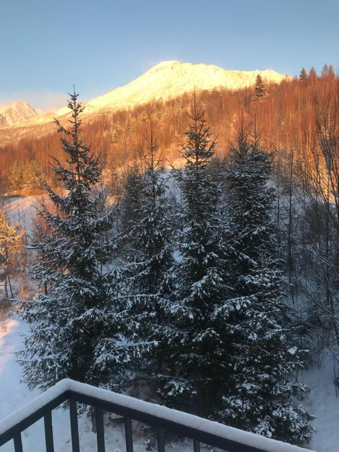 Apartmany Vila Vlasta Vysoké Tatry Buitenkant foto